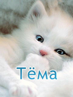 ��������: Ҹ��