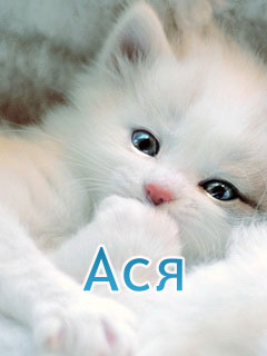 �������� � ������� ���