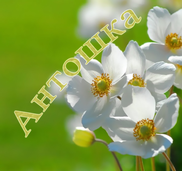 �������� � ������� �������