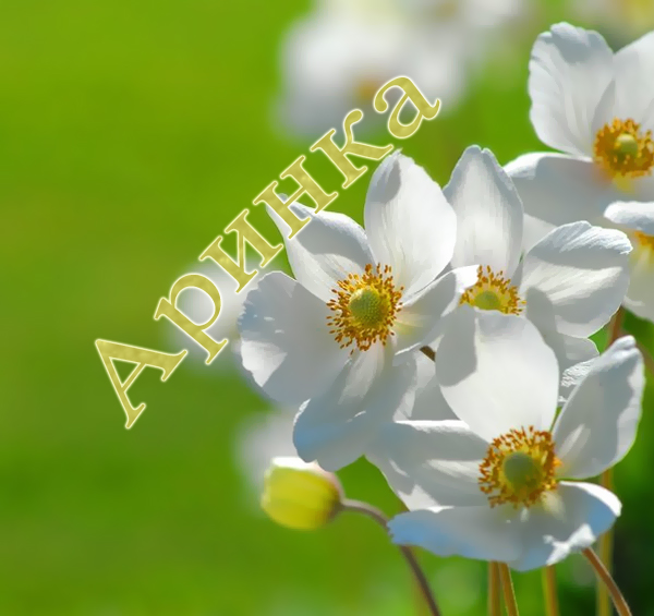 �������� � ������� ������