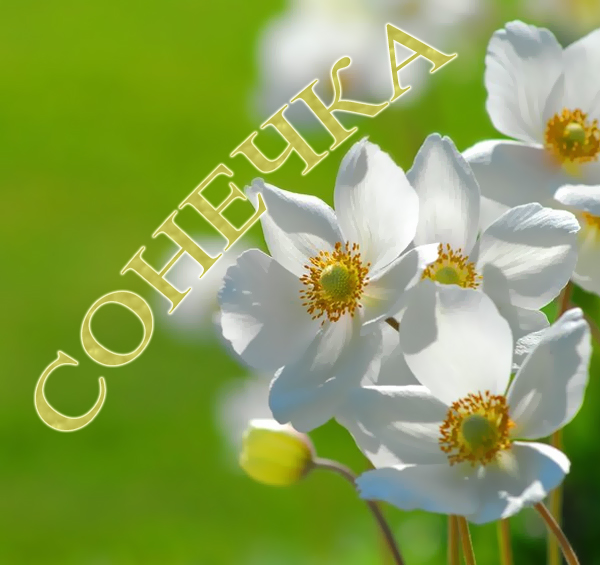 �������� � ������� �������