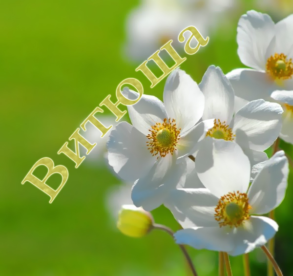 �������� � ������� ������