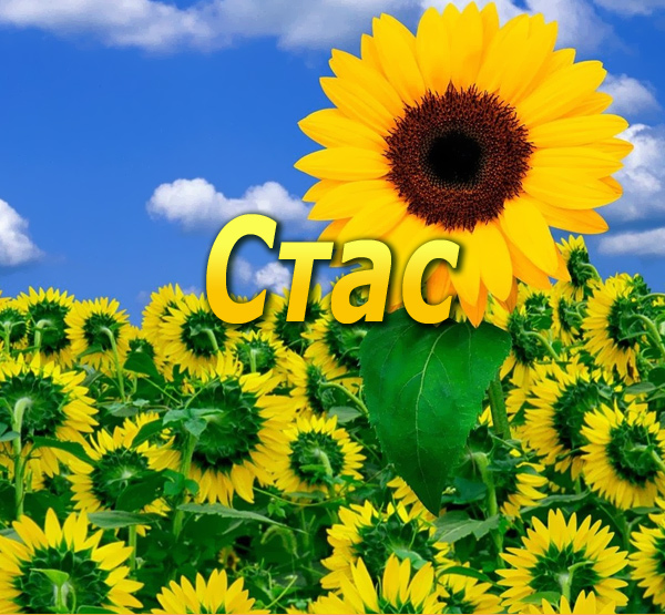 Картинка: Стас