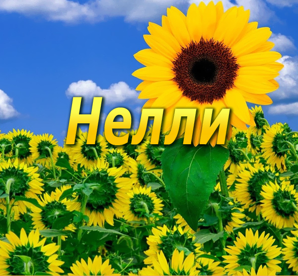 Обои с именем нелли