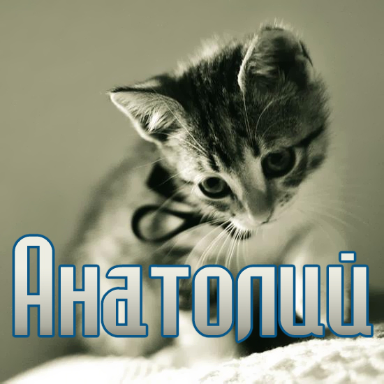 ��������: ��������