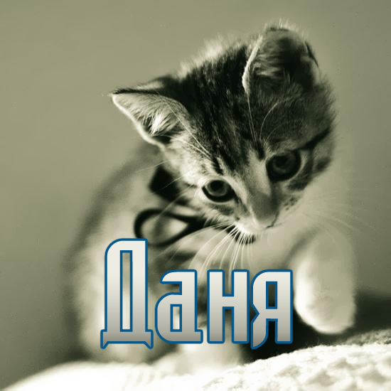 �������� � ������� ����