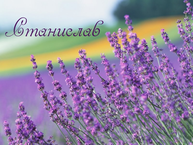 Картинка: Станислав