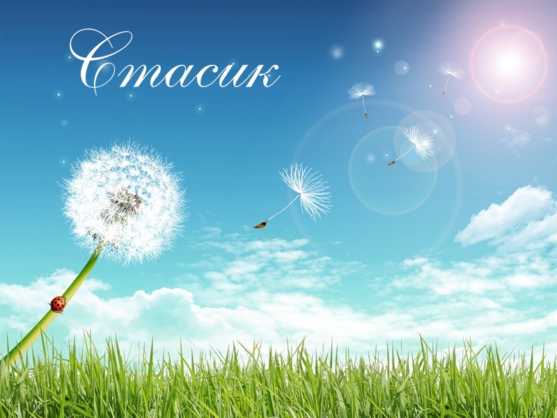 Картинка: Стасик
