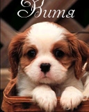 �������� � ������� ����