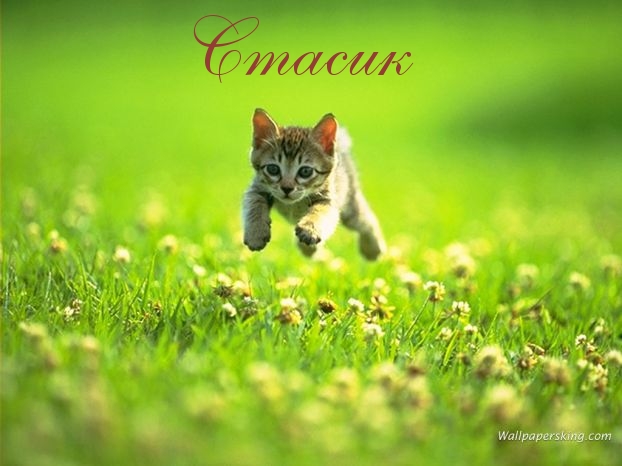 Картинка: Стасик