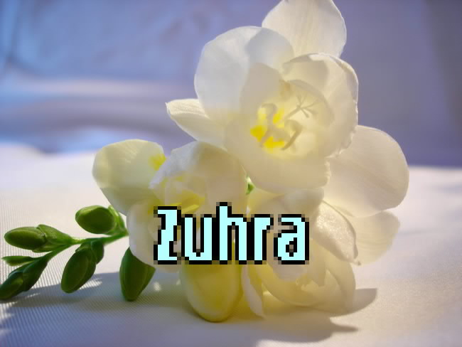 ��������: �����