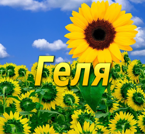 �������� � ������� ����