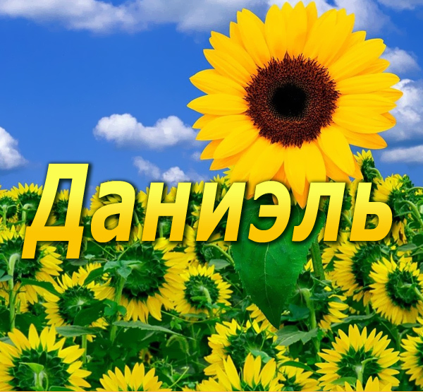 ��������: �������