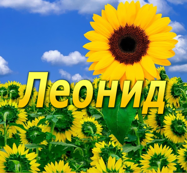 �������� � ������� ������