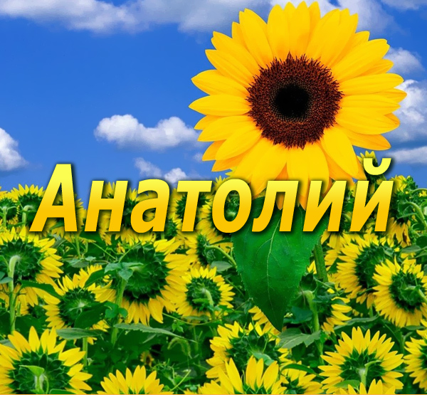 Картинка: Анатолий