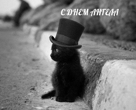 Картинка: С ДНЕМ АНГЕЛА