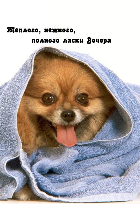 ��������: �������, �������, ������� ����� ������