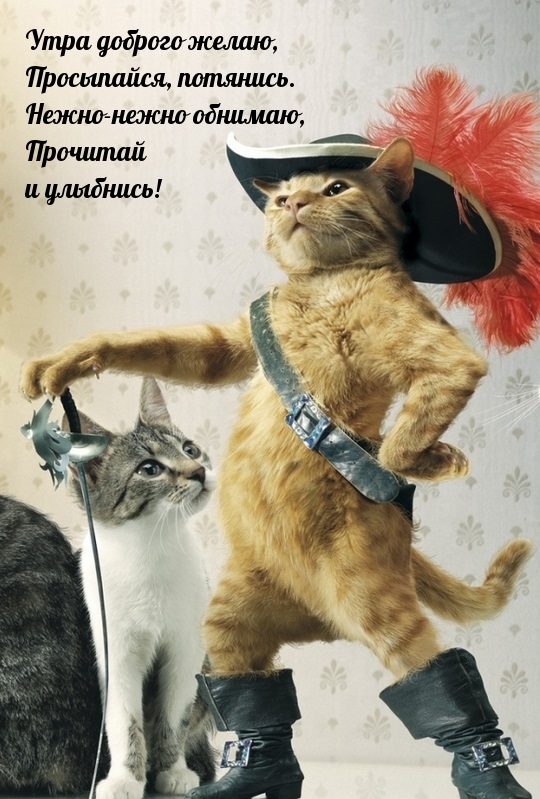 textopics_ru_27167.jpg