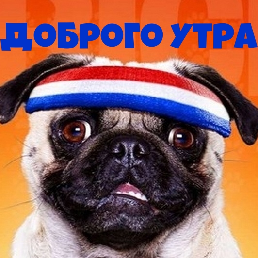��������: ������� ����