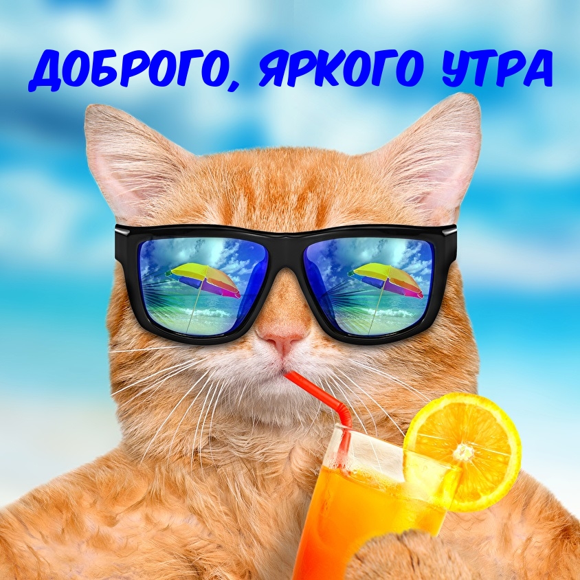 Картинка: Доброго, яркого утра