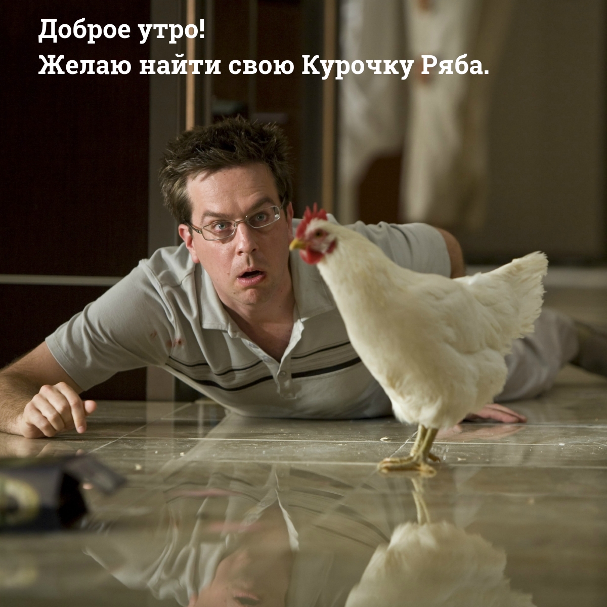 Картинка: Доброе утро! Желаю найти свою Курочку Ряба.