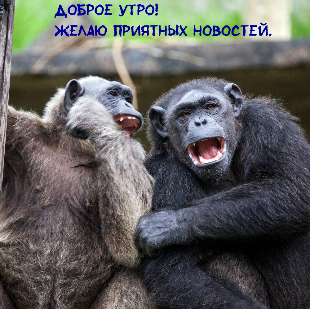 Картинка: Доброе утро! Желаю приятных новостей.