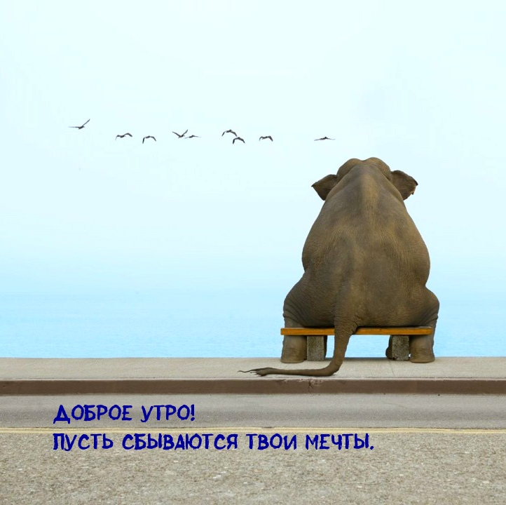Картинка: Доброе утро! Пусть сбываются твои мечты.