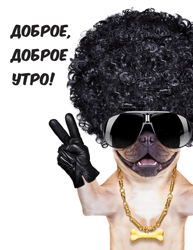 Картинка: Доброе, доброе утро!