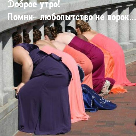 Картинка: Доброе утро! Помни- любопытство не порок...