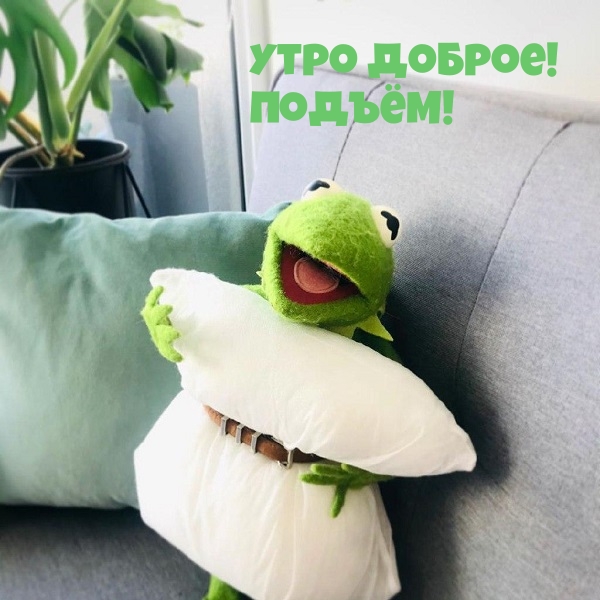��������: ���� ������! ������!