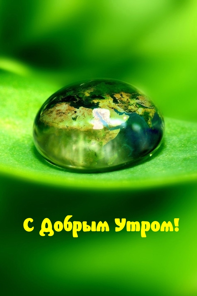 ��������: � ������ �����!