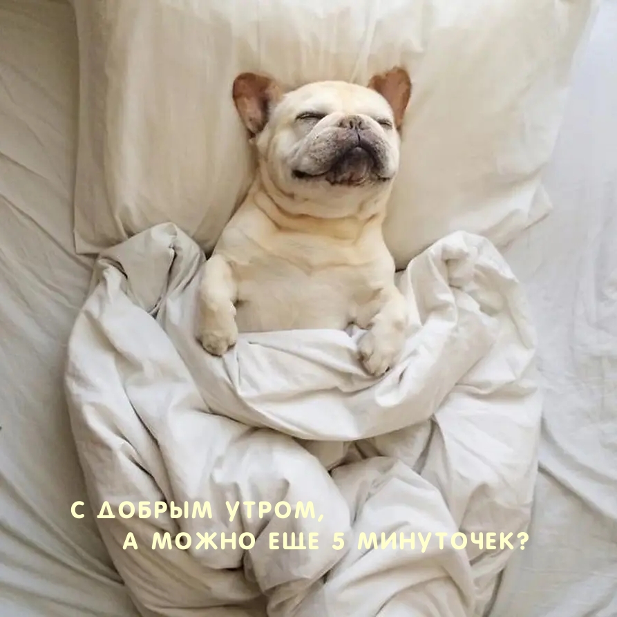 ��������: � ����� ��� 5 ���������?