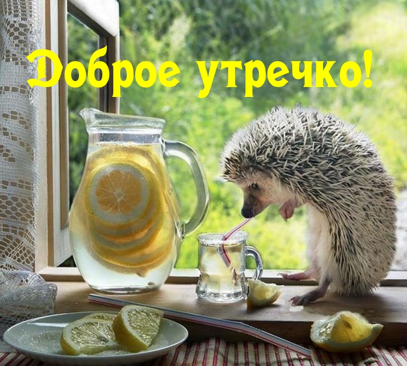 Картинка: Доброе утречко!
