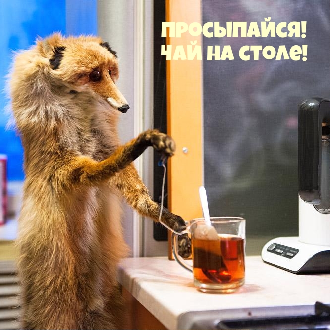 : !   !