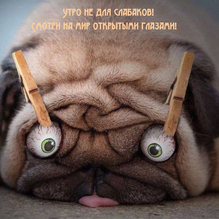 ��������: ������ �� ��� ��������� �������!