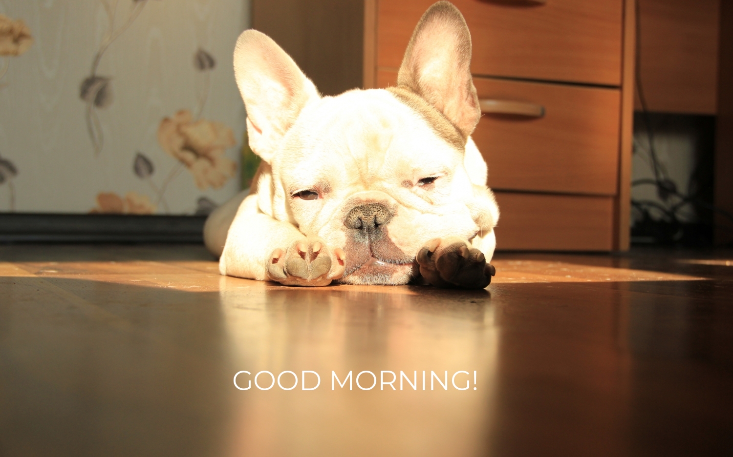 Картинка: GOOD MORNING!