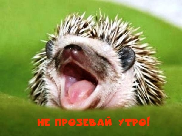 ��������: �� �������� ����!