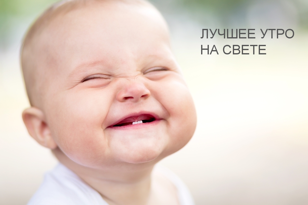 ��������: ������ ���� �� �����