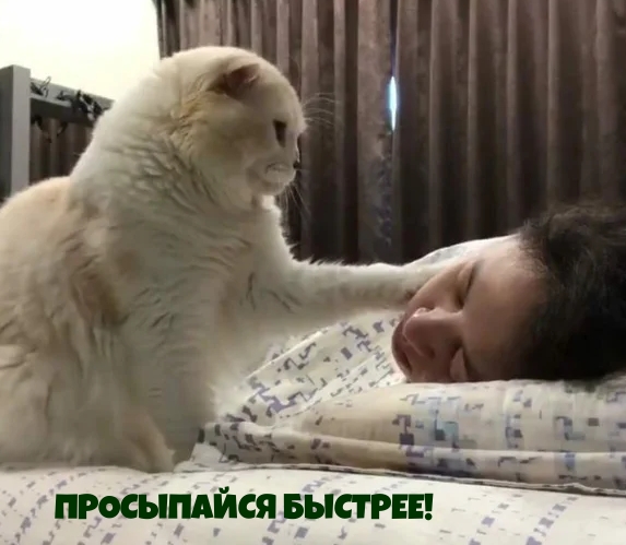 ��������: ���������� �������!