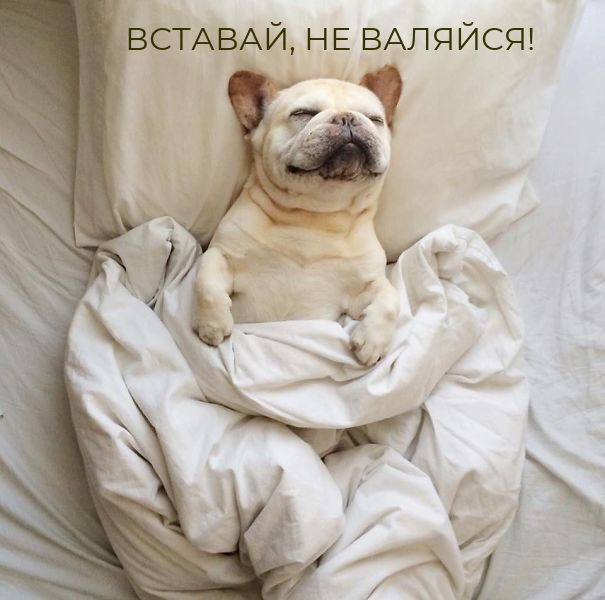 ��������: �������, �� �������!