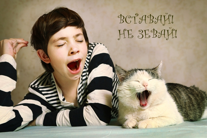 Картинка: ВСТАВАЙ! НЕ ЗЕВАЙ!