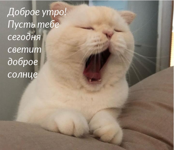 ��������: ����� ���� ������� ������ ������ ������ 