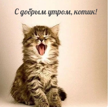 ��������: � ������ �����, �����!