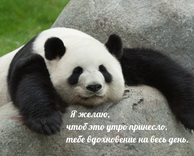 ��������: ���� ��� ���� ��������, ���� �����������