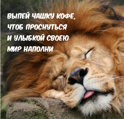��������: ����� ����� ����, ���� ����������