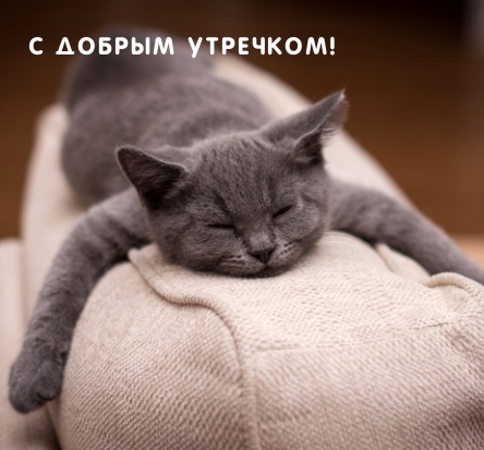 :   !