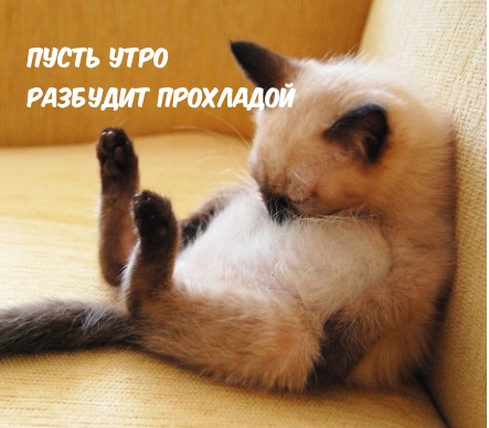 :    