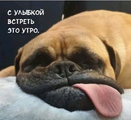 Пежо с улыбкой