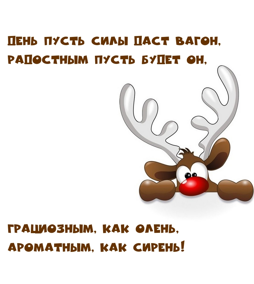 ��������: ���� ����� ���� ���� �����! ��������� ����� ����� ��!