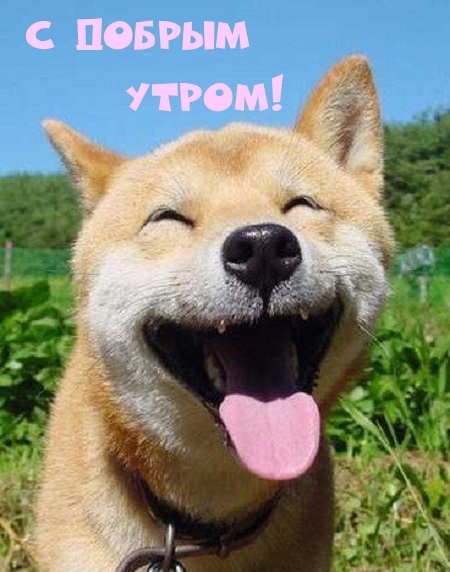 ��������: � ������ �����!